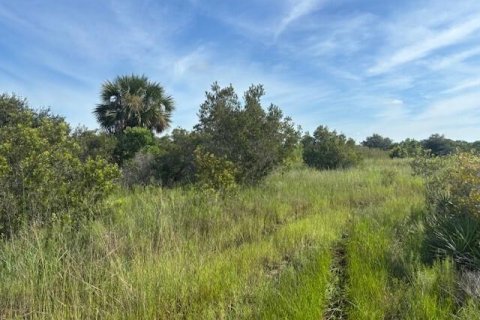 Commercial property in Okeechobee, Florida № 2390132 - photo 2