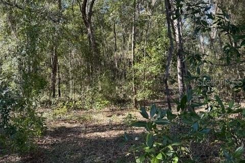 Terrain à vendre à Williston, Floride № 1721641 - photo 5