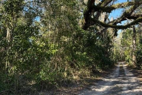 Terrain à vendre à Williston, Floride № 1721641 - photo 3