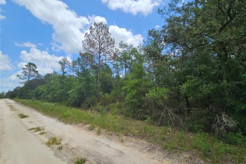 Land in Williston, Florida № 2222009 - photo 5