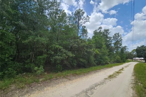 Land in Williston, Florida № 2222009 - photo 4