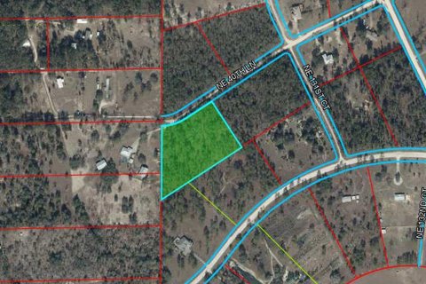 Land in Williston, Florida № 2222009 - photo 2