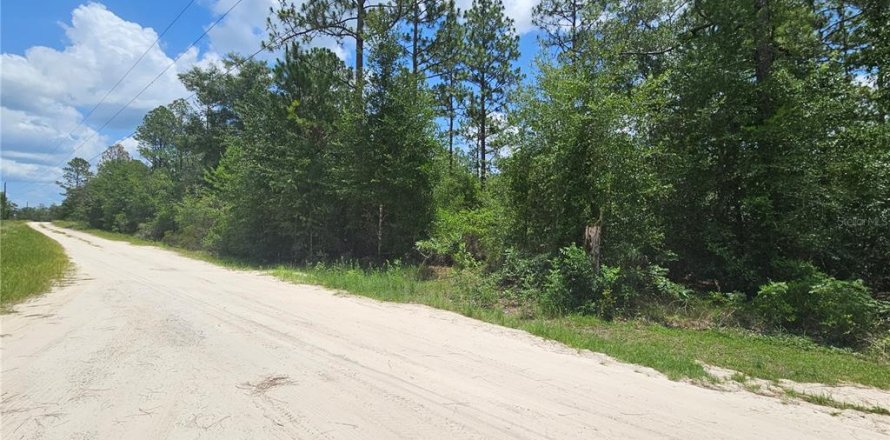 Land in Williston, Florida № 2222009