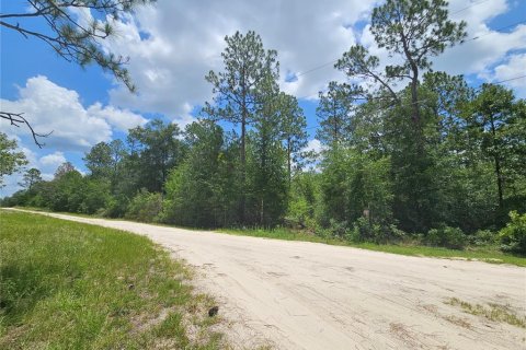 Land in Williston, Florida № 2222009 - photo 3
