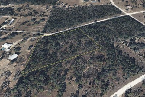 Land in Williston, Florida № 2222009 - photo 6