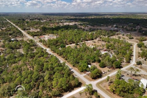 Land in Clewiston, Florida № 2118573 - photo 7