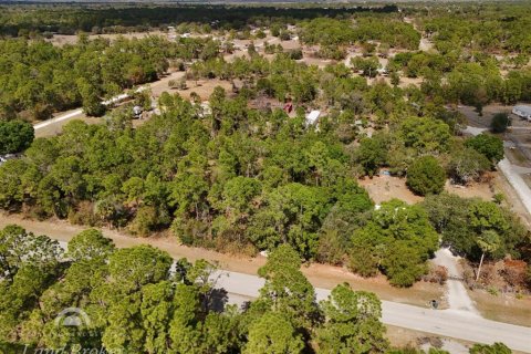 Land in Clewiston, Florida № 2118573 - photo 20