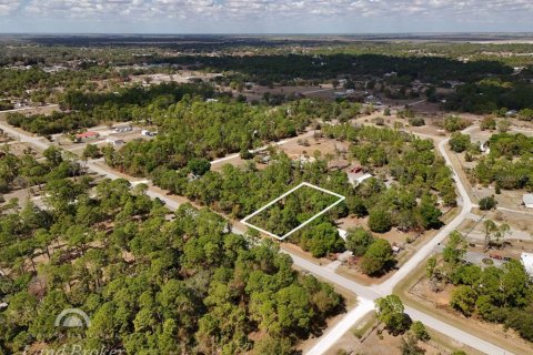Land in Clewiston, Florida № 2118573 - photo 3