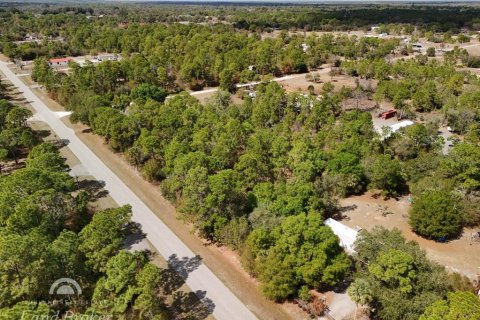 Land in Clewiston, Florida № 2118573 - photo 21