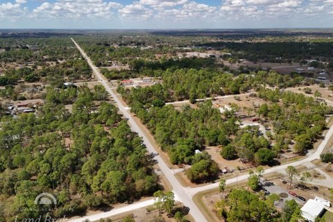 Land in Clewiston, Florida № 2118573 - photo 8
