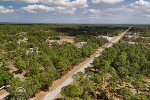 Land in Clewiston, Florida № 2118573 - photo 17