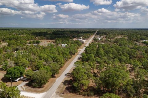 Land in Clewiston, Florida № 2118573 - photo 16