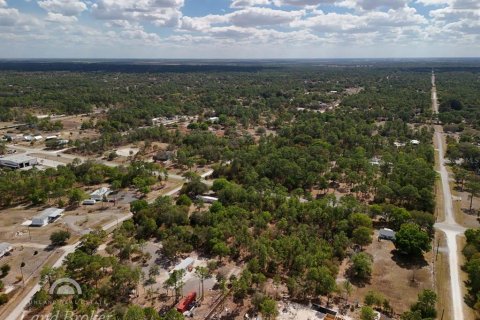 Land in Clewiston, Florida № 2118573 - photo 12