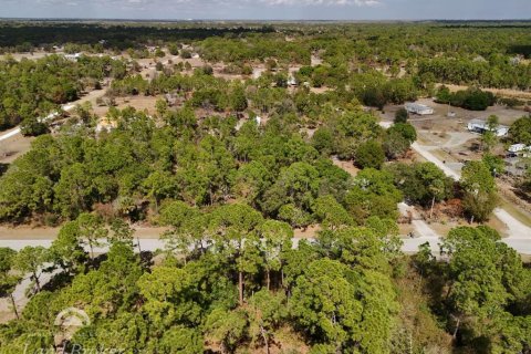 Land in Clewiston, Florida № 2118573 - photo 19