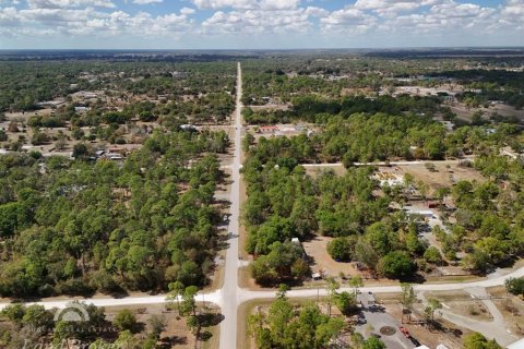 Land in Clewiston, Florida № 2118573 - photo 9