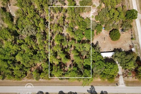 Land in Clewiston, Florida № 2118573 - photo 2