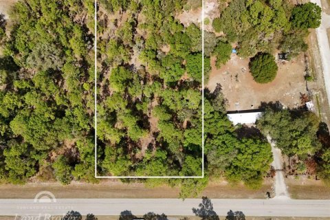 Terreno en Clewiston, Florida № 2118573