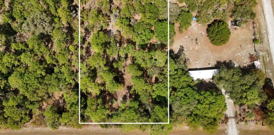 Land in Clewiston, Florida № 2118573