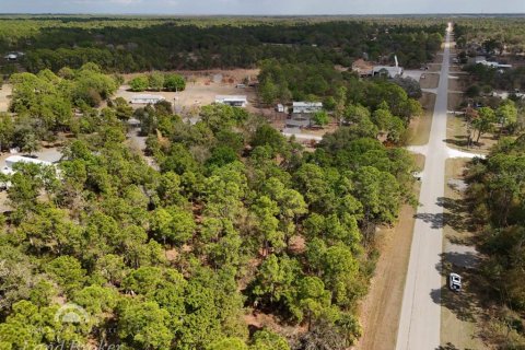 Land in Clewiston, Florida № 2118573 - photo 23