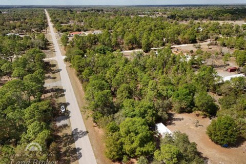 Land in Clewiston, Florida № 2118573 - photo 22
