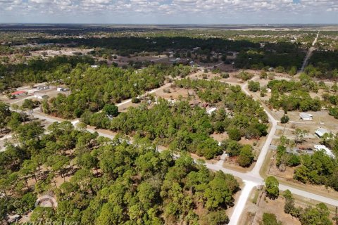 Land in Clewiston, Florida № 2118573 - photo 6