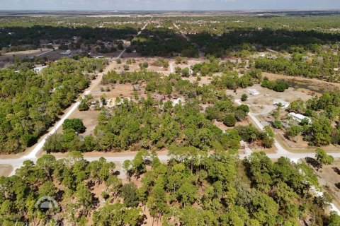 Land in Clewiston, Florida № 2118573 - photo 5