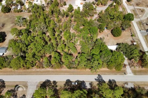 Land in Clewiston, Florida № 2118573 - photo 4