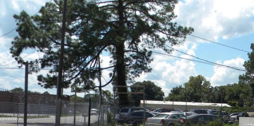Immobilier commercial à Jacksonville, Floride 135.27 m2 № 806886