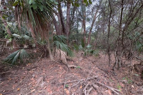 Land in Coral Springs, Florida № 1691315 - photo 5