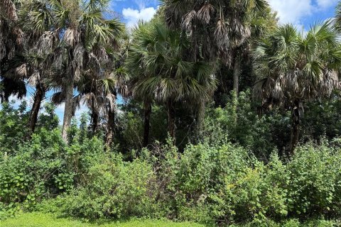 Condo in Punta Gorda, Florida, 2 bedrooms  № 2393732 - photo 25