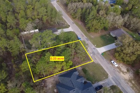 Land in Dunnellon, Florida № 2202948 - photo 5