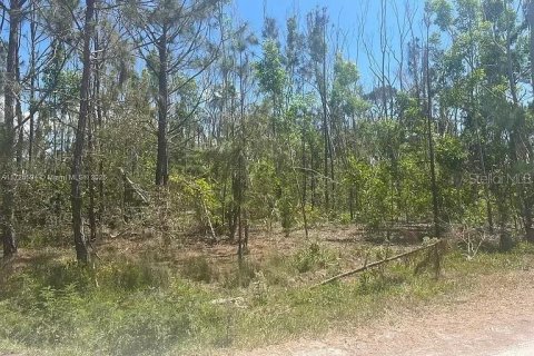 Terreno en Bokeelia, Florida № 2235202