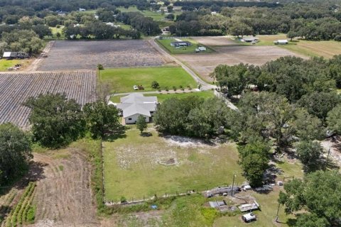 Villa ou maison à vendre à Plant City, Floride: 4 chambres, 321.72 m2 № 2358332 - photo 7