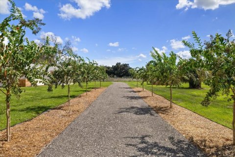Villa ou maison à vendre à Plant City, Floride: 4 chambres, 321.72 m2 № 2358332 - photo 11