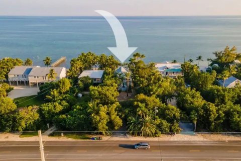 Casa en venta en Islamorada, Village of Islands, Florida, 4 dormitorios, 278.8 m2 № 2022376 - foto 15