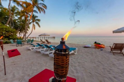 Casa en venta en Islamorada, Village of Islands, Florida, 4 dormitorios, 278.8 m2 № 2022376 - foto 14