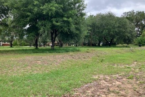 Land in Fruitland Park, Florida № 2104182 - photo 6