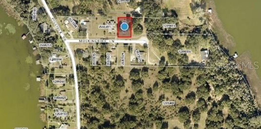 Land in Fruitland Park, Florida № 2104182