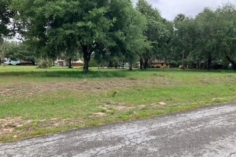 Land in Fruitland Park, Florida № 2104182 - photo 5