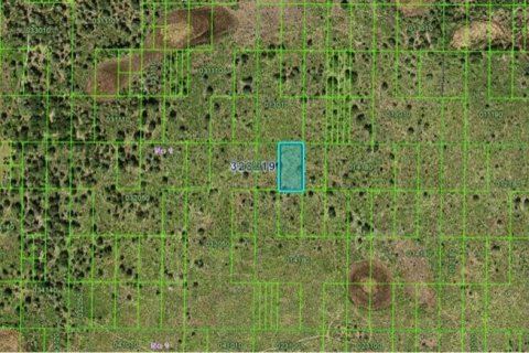 Terreno en venta en Frostproof, Florida № 2160608 - foto 3