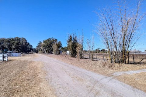 Terreno en venta en Wauchula, Florida № 2143538 - foto 6