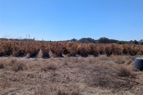 Terreno en venta en Wauchula, Florida № 2143538 - foto 14