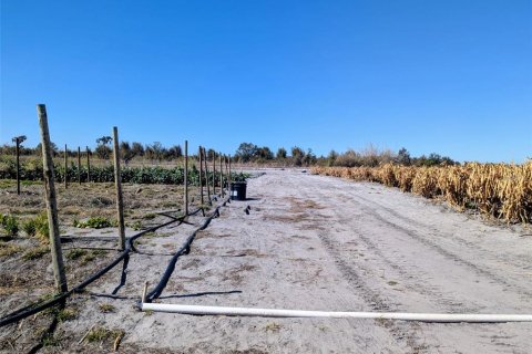Terreno en venta en Wauchula, Florida № 2143538 - foto 5