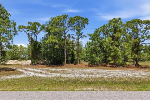 Купить земельный участок в Кейп-Корал, Флорида № 2060877 - фото 10