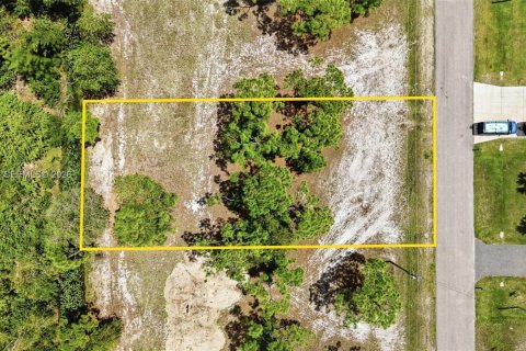 Купить земельный участок в Кейп-Корал, Флорида № 2060877 - фото 5