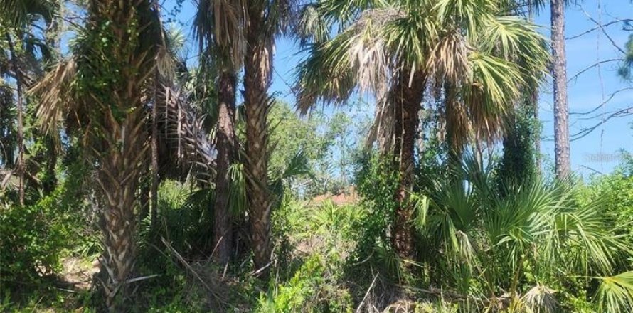 Land in North Port, Florida № 2237363