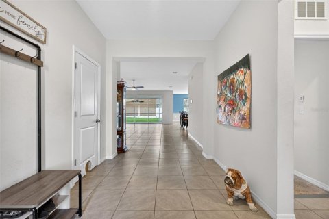 House in Spring Hill, Florida 4 bedrooms, 237.55 sq.m. № 2201615 - photo 4