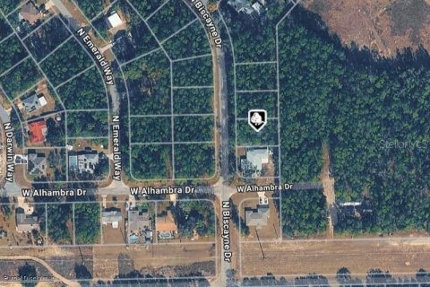 Land in Citrus Springs, Florida № 2164628 - photo 2