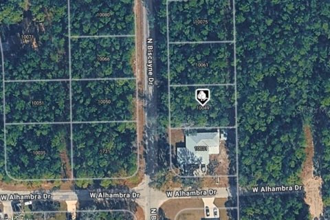 Land in Citrus Springs, Florida № 2164628
