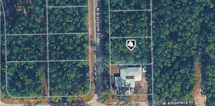 Land in Citrus Springs, Florida № 2164628